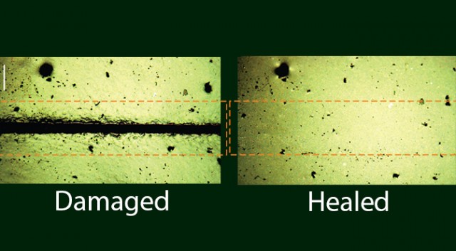 self-healing-synthetic- Self Healing Electronics