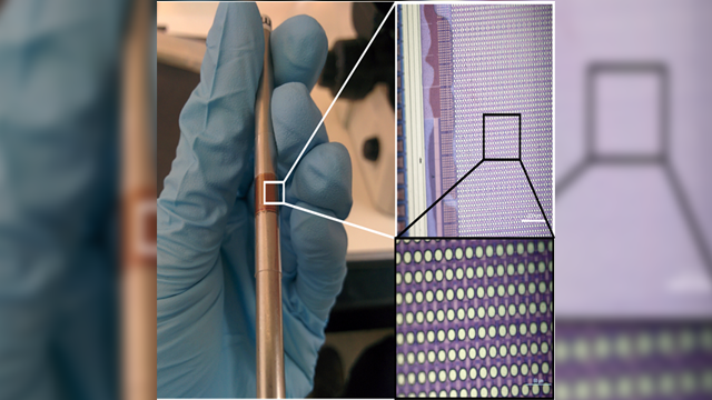 brain computer interface