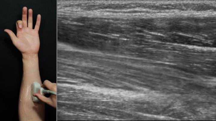 Wearable Future Smartwatches