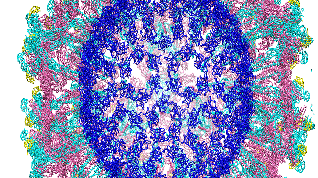 Cryo-electron microscopy