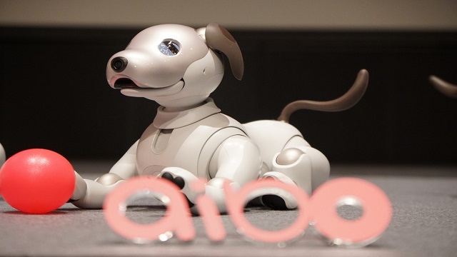AIBO - Robot Dog