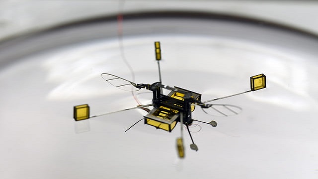Microbots RoboBee