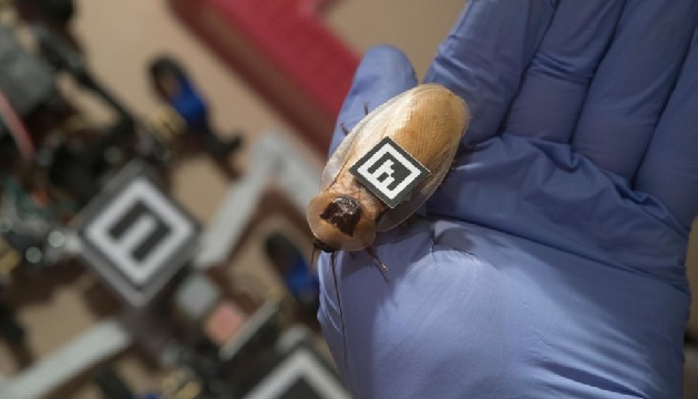 John-Hopkins-University