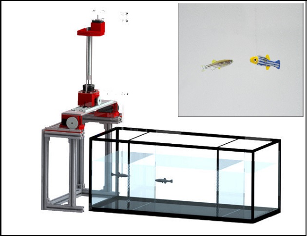 Robotic-fish-mimic-real-fish-ELE-Times