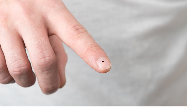 finger main
