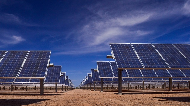 Are India's Solar Firms Leading the Global Race?