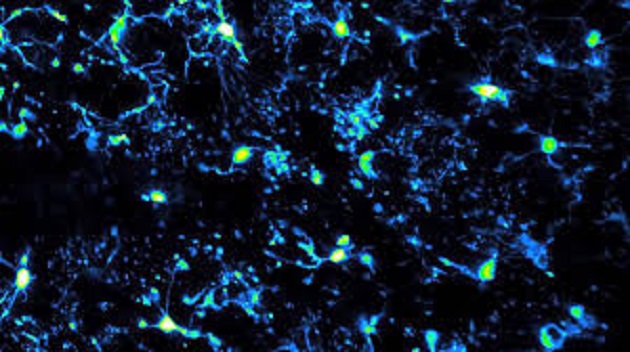 multiphoton main