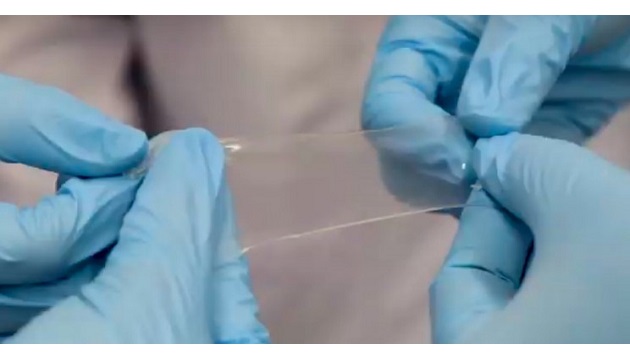 electronic skin main