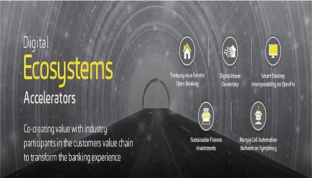 DIGITAL ECOSYSTEM ACCELERATORS