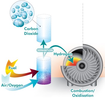 renewable sector