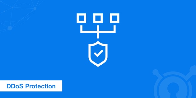 DDoS Protection