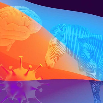 Intelligent Revolution Series