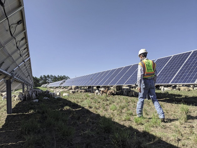 Israeli government greenlights plan to add 15 GW of solar by 2030
