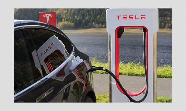 Tesla In India Soon