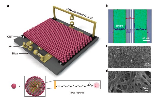 transistors