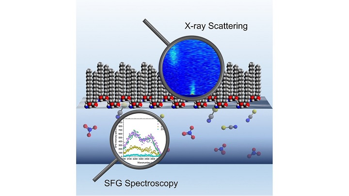 New Insight into Recycling Processes for Nuclear and Electronic Waste
