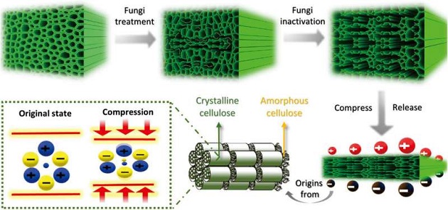 Softened Wood For Electricity in Homes