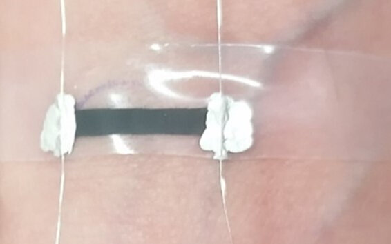 graphene