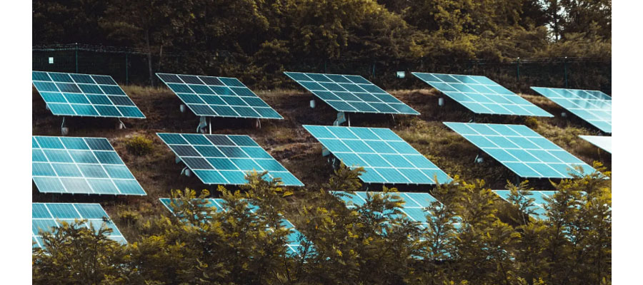 Agrivoltaics Is the Key for a Sustainable Agricultural Revolution